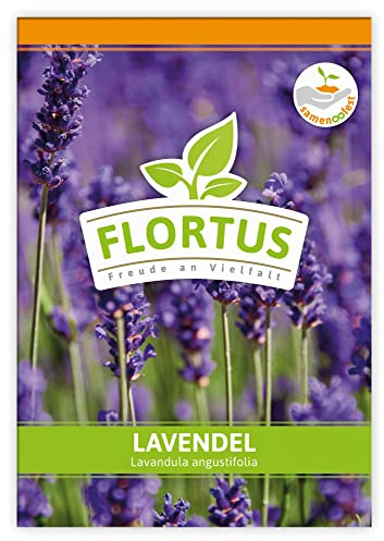 FLORTUS Lavendel Samen als Gastgeschenke | Kräutersamen als Dankeschön Geschenke, Mitgebsel & Werbegeschenke | Lavendel Pflanze