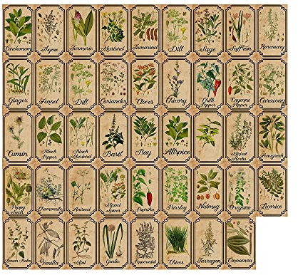 Etiquetas de boticario de hierbas y especias, etiquetas vintage para tarros, botellas, etiquetas