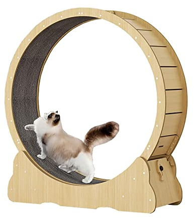 Hundelaufband Laufrad für Katzen, Laufrad für Katzen, Laufband für Katzen, Laufband mit Teppichboden, Spielzeug für Haustiere, perfekt für die Gewichtsabnahme von Katzen und spielerischen Spaß