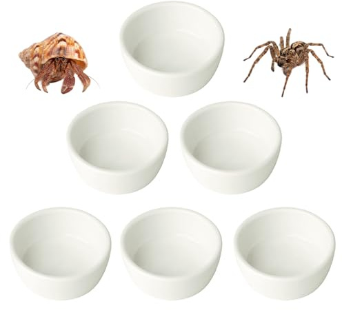 6 Pcs Spider Micro Small Ceramic Water Bowl, Mini Pet Dish for Spider 1.5oz