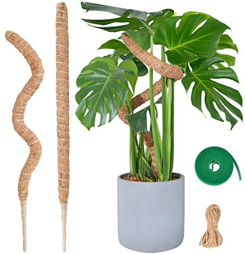Moosstab Monstera für Pflanzen, SproutMaven 2 x 60cm Biegsame Monstera Rankhilfe mit Zubehör für Kletterpflanzen, Handgefertigte Kokosstab Monstera Moss Pole für Indoor Pflanzen