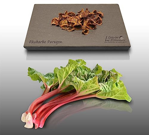 50 graines à semer - Le Grenier d'Abondance - RHUBARBE Paragon - Rheum