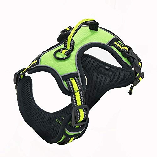 LYVQZPWLRHund dra med en vård, Hunddragsele utan dragkraft, reflekterande djurvästsele med robust handtag, justerbar remsele(Green,XS)