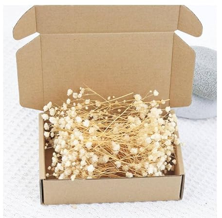 Flores secas mini color beige en lote - 50 unidades de flores secas naturales color marfil Gypsophila para relleno de jarrones, decoración de boda, arte en resina, manualidades, invitación de