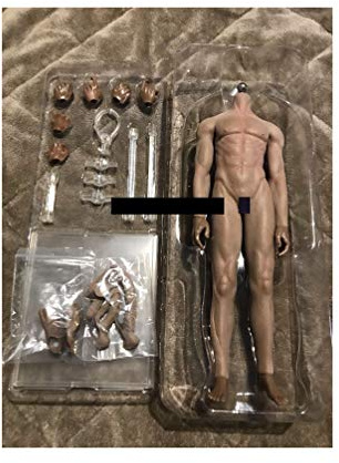 ZSMD 1/6 Flexible Seamless Male Muscular Figure Body Pale Suntan Dark (Dark (JOK-11C-PS))