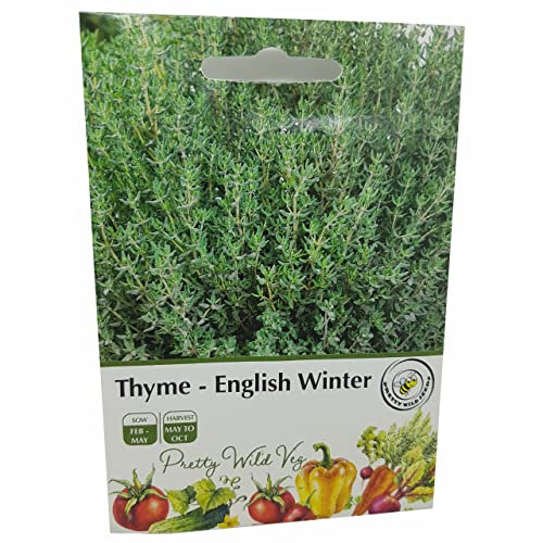 Thyme English Winter Seeds in Pictorial Packet - 500 Seeds