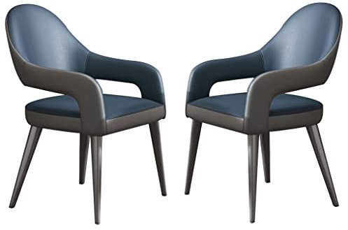 AMENAS Küche Küche Esszimmerstühle 2er Set Moderner Ledersessel mit Eisen Kunst Metall Stuhlbeine für Zuhause Gewerbe Restaurants Wohnzimmer Stühle (Farbe: Blau)
