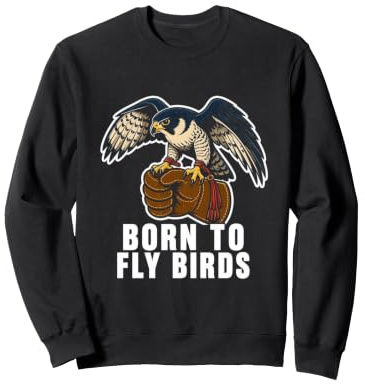 Falknerei Hawk Trainer Vintage Distressed Raptor Identity Sweatshirt
