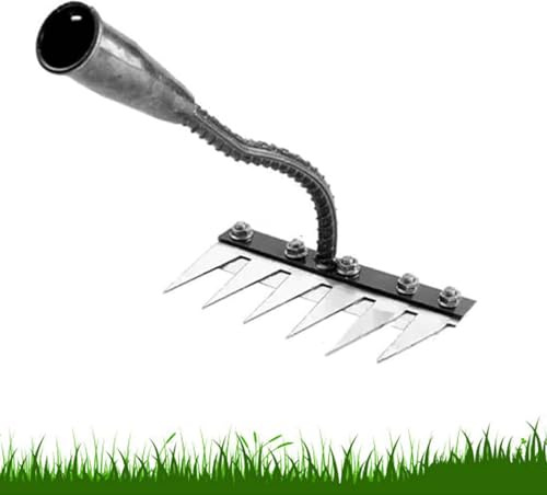 Rateau De Désherbage Berthaus, 2025 Nouveau Outil De Râteau De Désherbage avec Manche, Râteau De Jardin en Métal Très Résistant, Rateau Bertaus pour Désherber/Ameublir/Semence (6 Dents)