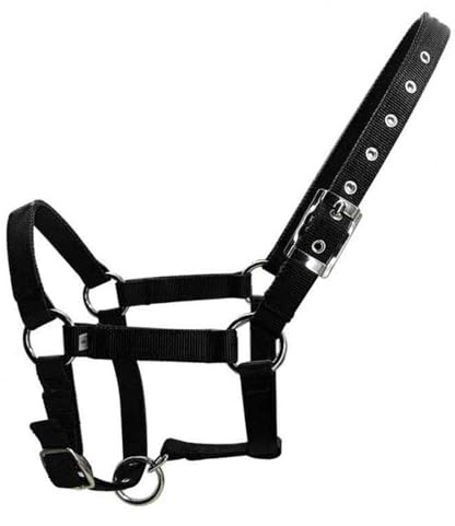 DSFIHJO Grimma för hästar svart XS/S/M/L/XL justerbart nylonband ridsportkläder, ergonomiska, bekväma hölster (S)