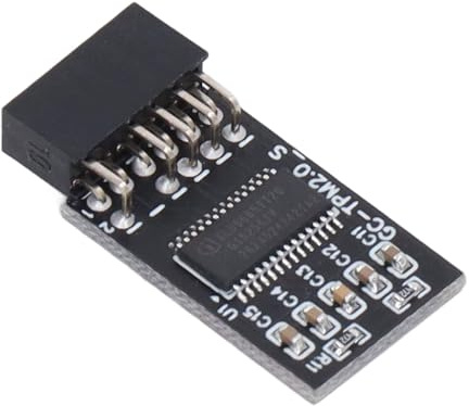 Modulo di Sicurezza per Crittografia TPM 2.0 Modulo LPC SPI Interfaccia 12Pin Scheda di Sicurezza Crittografia Scheda Distanza Accessorio per GIGABYTE