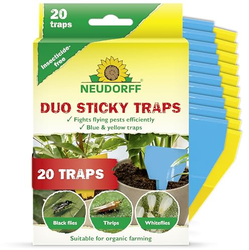 Neudorff Duo Sticky Traps – Blausticker gegen Thripse und Gelbsticker gegen kleine Fliegende Schädlinge wie Trauermücken. Geruchlos, insektizidfrei, 20 Stück