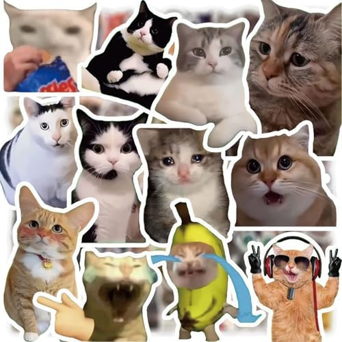 300 PCS Cat Meme Stickers, Funny Cat Stickers for Personalising Laptops and Water Bottles, Cute Cat Stickers for Social Media Content and Gift Giving, Bringing You More DIY Options