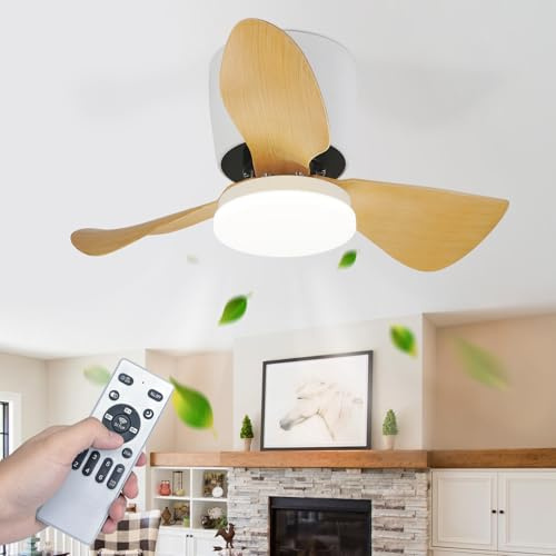 Homefire Ventilador de techo con luz LED 70 cm, 23 W regulable, control