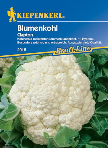 Kiepenkerl Profi-Line Blumenkohlsamen Clapton F1 - Gemüsesamen Kohlhernie resistent, Sommerblumenkohl Saatgut, Ertragreiche Qualitätssorte, Blumenkohl Samen