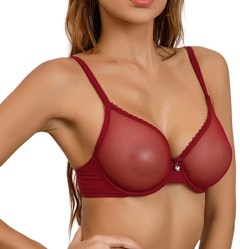 Women Lace Sheer Bra See Through Sexy Underwire Unlined Mesh Ultra Sexy Lace Plus Size Bra