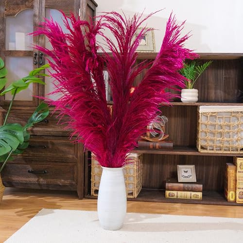 Lila-rotes Pampasgras-Dekor hoch 4 Stück 110 cm großes natürliches getrocknetes buntes Pampasgras pinkfarbene Pampasblumen mit Trockenblumenaroma Lange getrocknete Pflanze