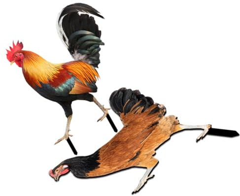 BESPORTBLE Piquet de Jardin en Acrylique pour Poulet, Lot de 2 Décoratif