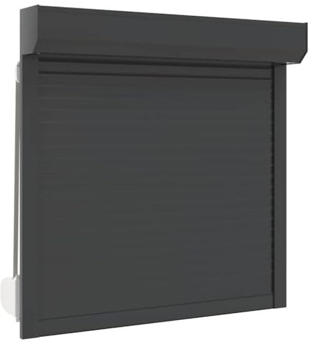 vidaXL Rulljalusi aluminium 100x100 cm antracit
