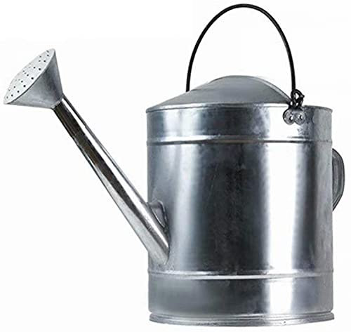 Regadera de metal galvanizado de gran capacidad para riego de plantas de jardín, 10 L