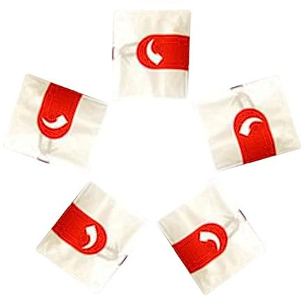 Sacchetti per forno ad alta temperatura, sacchetti per pollo arrosto, 250 x 380 mm, sacchetti per tacchino, popolari stampi per formaggi a pasta dura (trasparente, taglia unica)