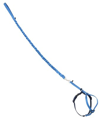 PetSafe Come with Me Kitty Geschirr und Bungee-Leine, Geschirr für Katzen, klein, Königsblau/Marineblau
