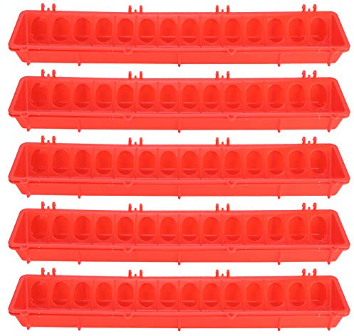 GRCFUMO 5 Set ANMEDER DE Avie, Topes de Jaula cuadradas Alimentadores de Aves, Jaula de alimentación de Cerca, Bandeja de alimentación de Aves de Corral, contenedor de alimentador