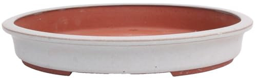 generisch Tokoname Bonsaischale von Youzan - 37 x 30 x 6 cm - oval - grau - 58103