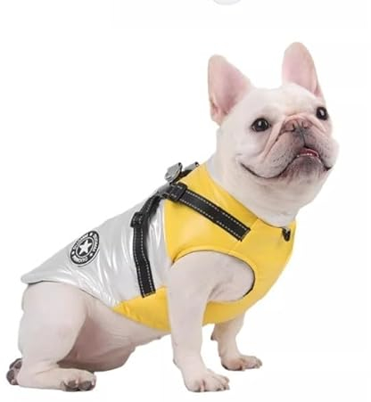 Hunderegenmantel Mit Wasserdichtem Regenmantel for Hunde, Reflektierender Regenschutz-Overall for Welpen, Kleine Und Mittelgroße Haustiere (Color : Gelb, Size : XL)