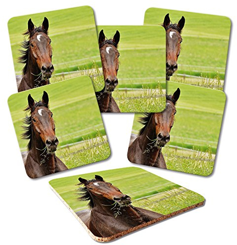 ADDIES Glas-Untersetzer 6-TLG.Set Bedruckt Motiv Pferde-02 in hochwertiger Klarsicht-Geschenkbox und Korkrückseite, Tier-Motiv