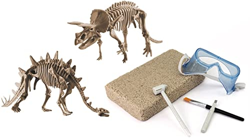Großes 2in1 Dinosaurier Ausgrabungsset mit Werkzeug Triceraptops und Stegosaurus in schwerem Sandblock