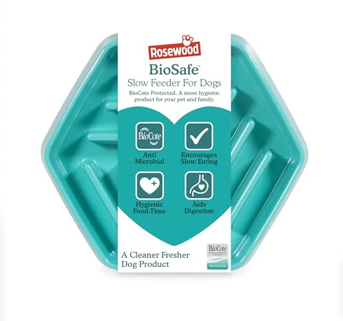 Rosewood BioSafe Hexagonal Slow Feeder Bowl for Dogs, BioCote Technology for Germ-Free Feeding, Ideal for Fast Eaters, Reduces Bloating and Improves Digestion, Durable, Non-Slip Design - Teal