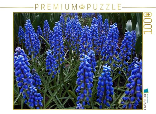 CALVENDO Puzzle Jacinthe de Raisin Montréal, Jardin botanique 1000 pièces Taille de la Ponte 64 x 48 cm Photo Puzzle Image de Philippe Henry