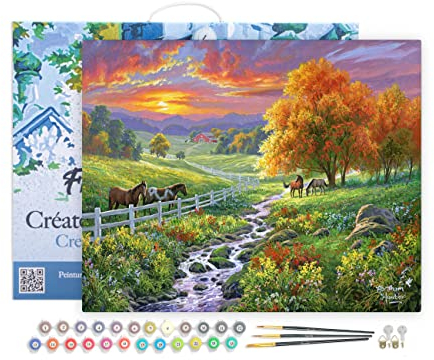 Figured'Art Peinture par Numéro Adulte avec Cadre Prairie ensoleillée - Activité Manuelle Kit de Loisir Créatif DIY Numéro d'Art Complet - 40x50cm toile tendue sur châssis