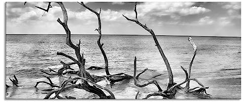 Pixxprint Glasbild Panorama, Wandbild aus Echtglas, Strand Meer Havanna Kuba, 100x40 cm, inkl. Aufhängung und Abstandshalter