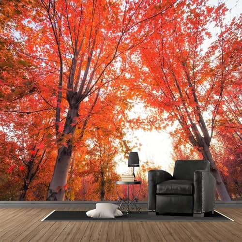 Papier Peint Panoramique Érable Papier Peint Intissé Automne Poster Trompe l'oeil Mural 3D Art Décoration Murale Salon Chambre 350x250 cm 1774b