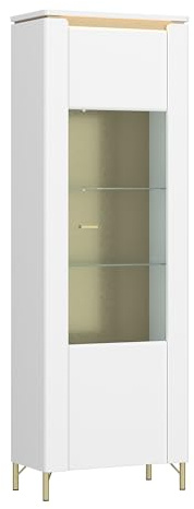 One Door Display Cabinet with LED Lighting High Gloss Finish Tempered Glass Front Metal Handles and Legs
