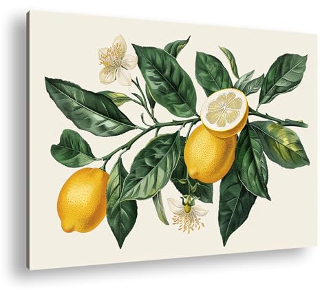 Leinwandbild Zitronen, Blätter und Blüten, detailreich in botanischer Schönheit Format: 80x60 cm XXL Kunstdruck Bild auf Keilrahmen/Wandbild/Wohnzimmer Deko