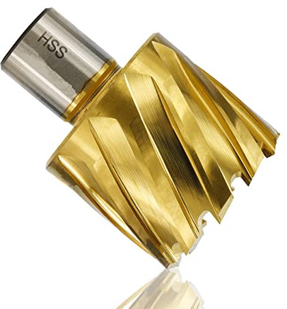 NUSHKI Bohrer HSS-Ringbohrer Mit 19-mm-Schaft TiN-beschichteter Hohlbohrer Zum Metallschneiden Weldon-Schaft-Kernbohrer,12 X 30 Mm