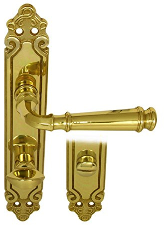 Haeusler Onlinehandel GmbH Massiv Messing Türbeschlag Olympus LS WC Messing poliert Türdrücker Türklinke