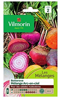 Betterave Potagère Arc-en-Ciel en mélange