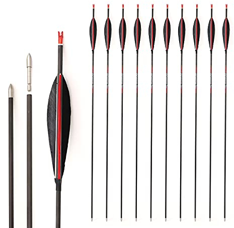 ACCMOS Spine 1100 Bogenpfeile ID 4,2 mm 29 Zoll Reinem Kohlenstoff Pfeil, Federn in Shuttle Form, für Erwachsene Jugend Compoundbogen Recurvebogen Bogensport Jagd & Praxis 12 St (Spine 1100, 29 inch)