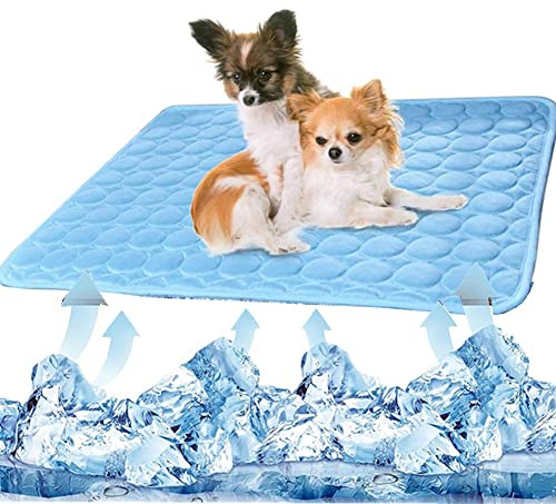 Kühlmatte für Hunde und Katzen, Eisseidematte, Kühldecke, Kissen für Hundehütte, Sofa, Bett, Boden, Autositze, Kühlung für draußen oder zu Hause (Kühlmatte für Hunde, 71 x 55 cm, blau)