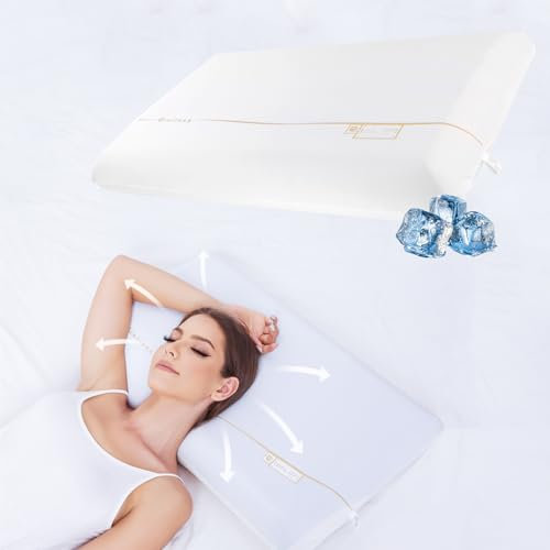 MINILUCK Almohada Viscoelastica, Almohada Cervical ViscoeláStica, Almohada Cervicales y Cuello, Almohadas Cervicales Reduce Dolor De Cuello, Almohada Cervicales, con Funda De ExtraíBle y Lavable
