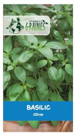 50 Graines de Basilic Citron - Basilic Lemon - Ocimum basilicum