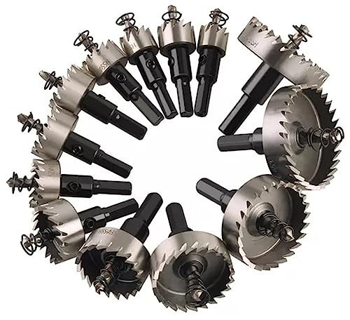 Juego de Brocas de 13 Piezas, Juego de Brocas de Acero de Alta Velocidad para Metal Brocas de Metal Kit de Brocas para Acero Inoxidable, Hierro, Plástico, Madera