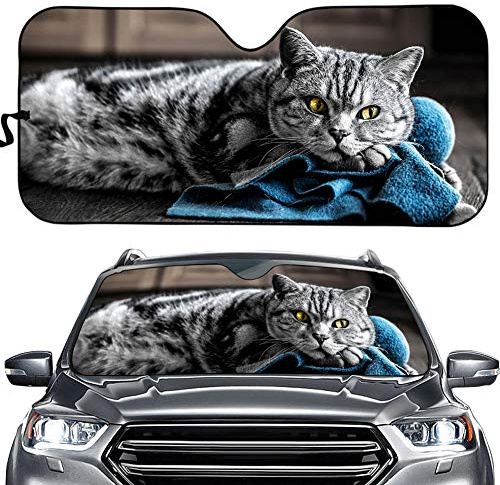 Hixingo Auto Frontscheibe, 3D Tier Katze Motiv Sonnenschutz für Windschutzscheibe, Frontscheibenabdeckung, Faltbares Design Auto Sonnenschutz, UV-Schutz, für meisten Autos (Tabby-Katze)