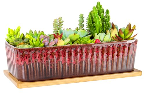 ARTKETTY Vasi per piante grasse, grandi fioriere per piante grasse con drenaggio, vaso rettangolare lungo per bonsai con vassoio poco profondo in ceramica davanzale della finestra