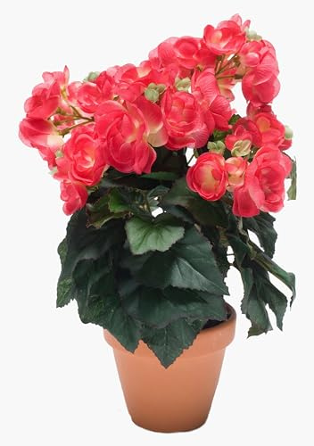 artplants.de Kunst Begonie CATINKA im Terracotta Topf, pink, 30cm - Künstliche blühende Pflanze