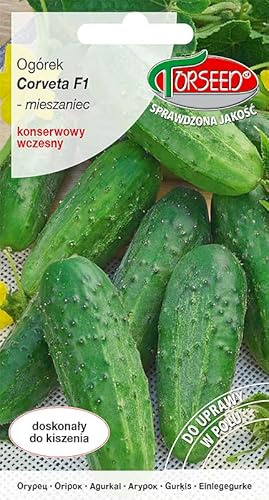 Verdica Corveta F1 Gurkensamen Cucumis sativus – Frühreifende Hybride, Bitterfrei, Perfekt zum Einlegen, Hohe Krankheitsresistenz, Platzsparende Pflanzung (3 Gramm)